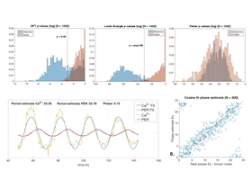 Evaluation of Circadian Time Series Analysis Methods Using Simulated Data